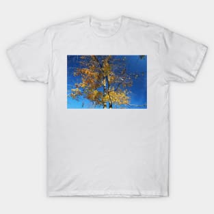 Beech T-Shirt